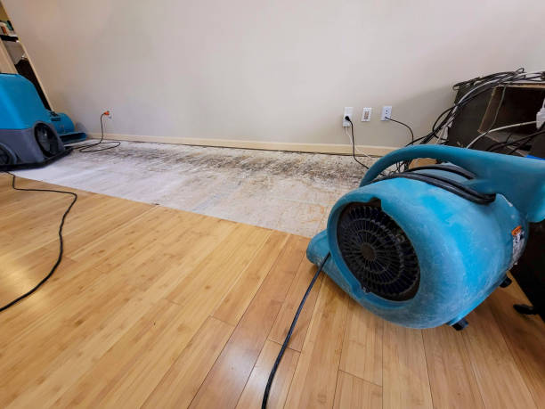Professional Structural Drying technician working in Billerica, MA